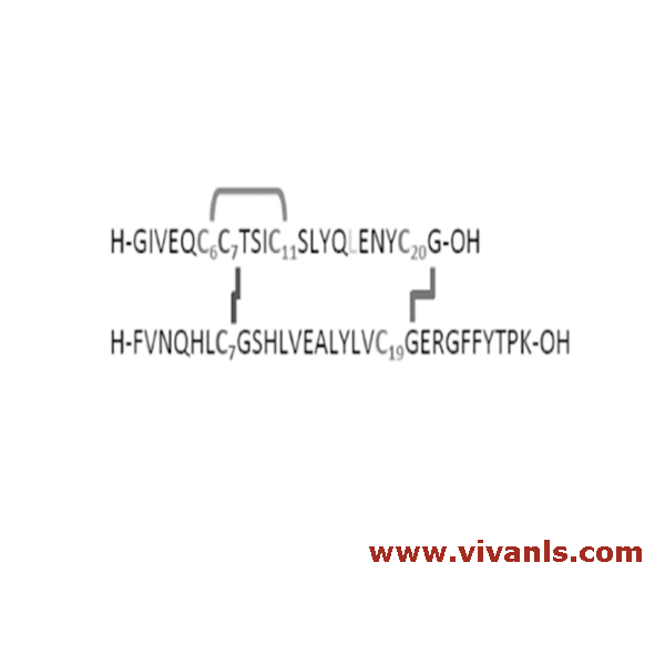 Metabolites-Insulin Glargine Metabolite 2 SIL 13C615N Leu-1664269612.png